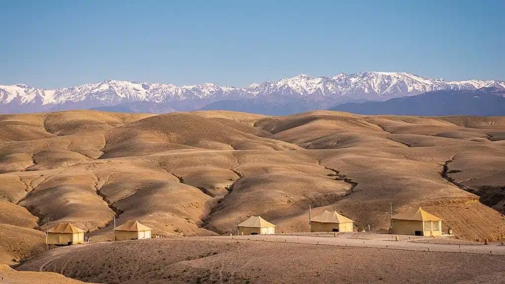 Agafay Desert Dinner & Camel Experience