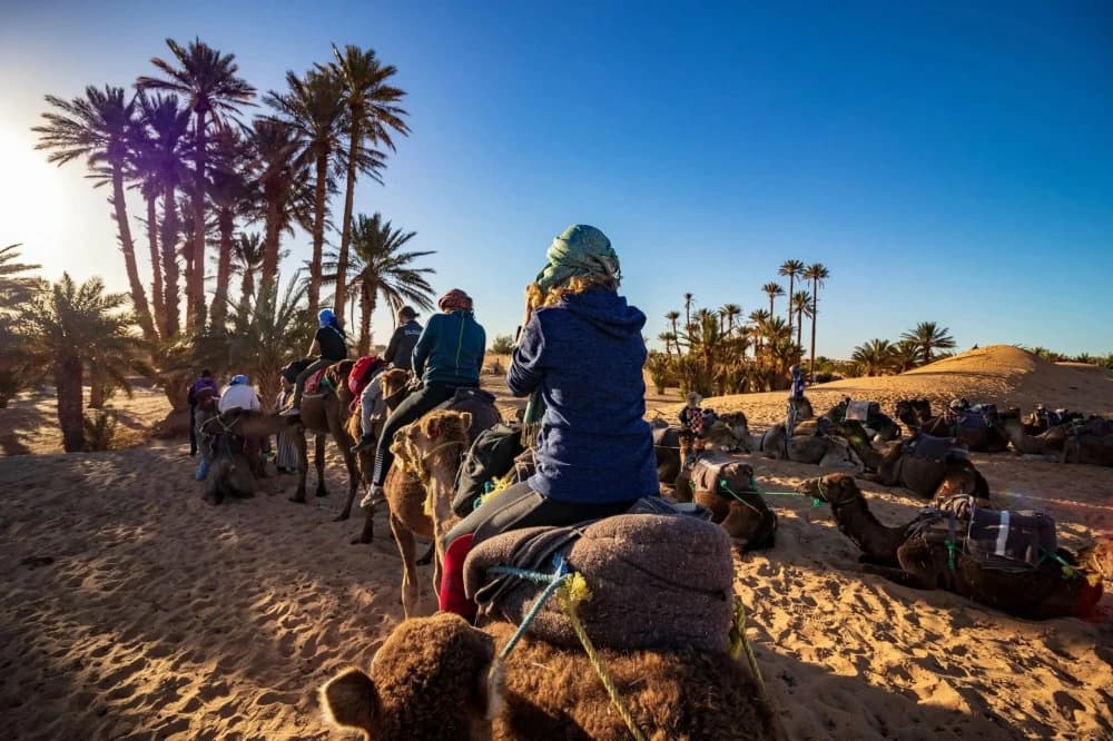 The Sahara Dunes: Plan the Perfect Desert Tour in Morocco