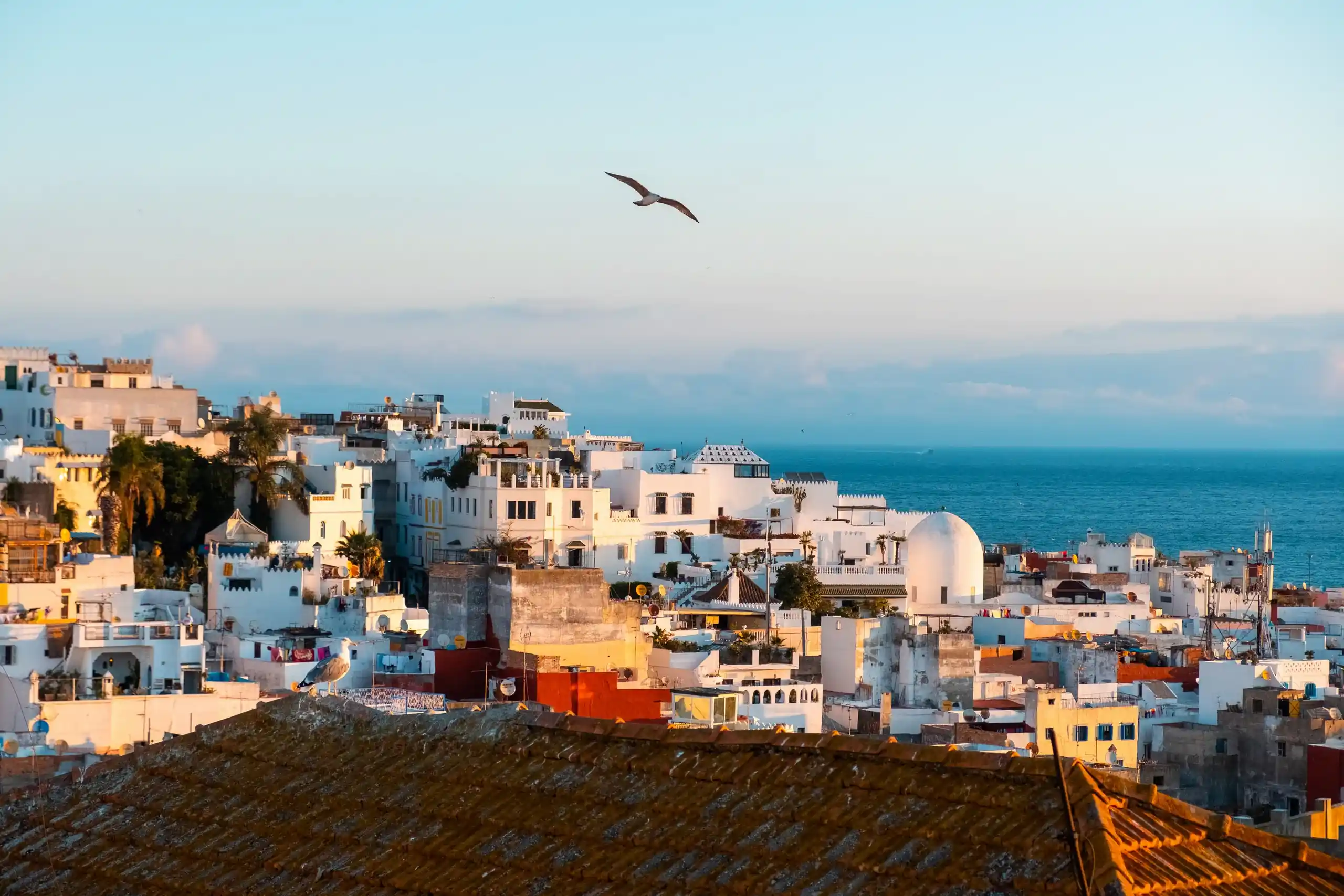 Tangier to Rabat Private Expressway Transfer